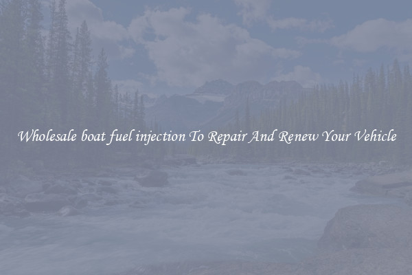 Wholesale boat fuel injection To Repair And Renew Your Vehicle