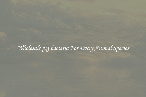 Wholesale pig bacteria For Every Animal Species