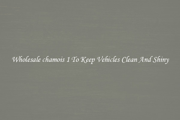 Wholesale chamois 1 To Keep Vehicles Clean And Shiny