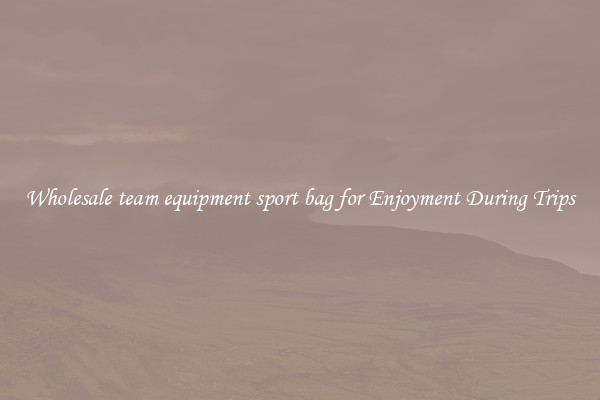 Wholesale team equipment sport bag for Enjoyment During Trips