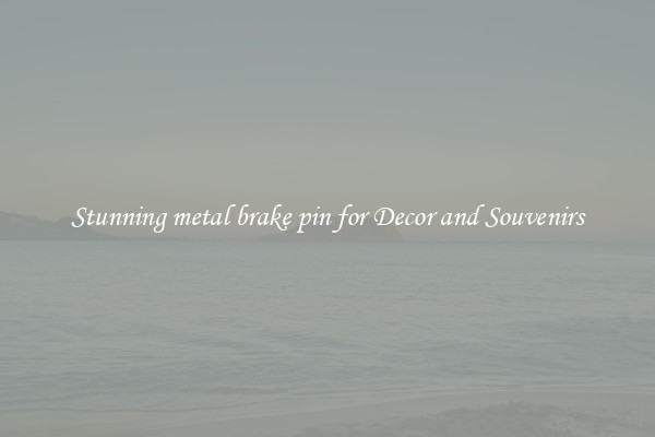 Stunning metal brake pin for Decor and Souvenirs