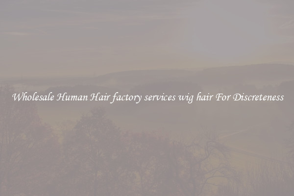 Wholesale Human Hair factory services wig hair For Discreteness
