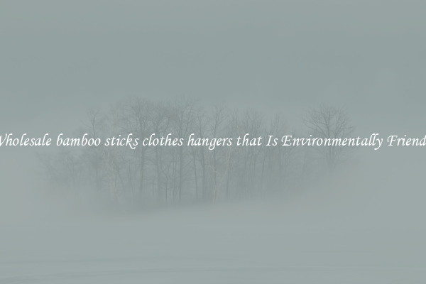 Wholesale bamboo sticks clothes hangers that Is Environmentally Friendly