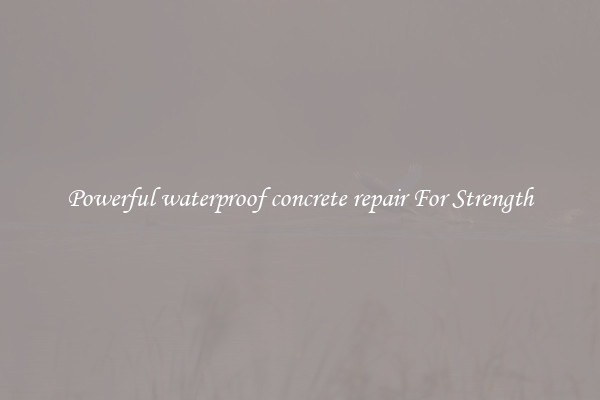 Powerful waterproof concrete repair For Strength