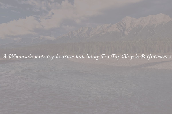 A Wholesale motorcycle drum hub brake For Top Bicycle Performance