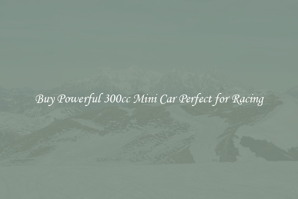 Buy Powerful 300cc Mini Car Perfect for Racing