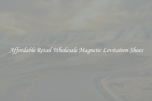 Affordable Retail Wholesale Magnetic Levitation Shoes