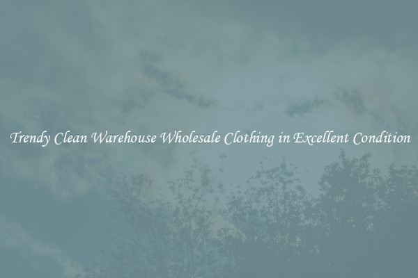 Trendy Clean Warehouse Wholesale Clothing in Excellent Condition