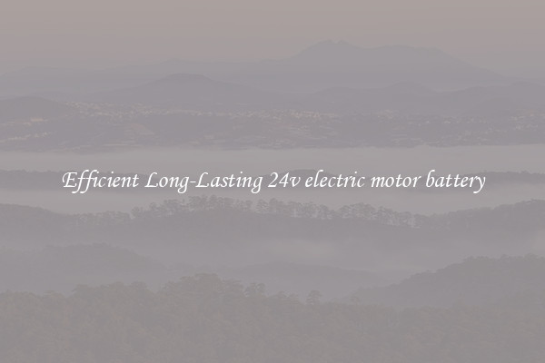 Efficient Long-Lasting 24v electric motor battery