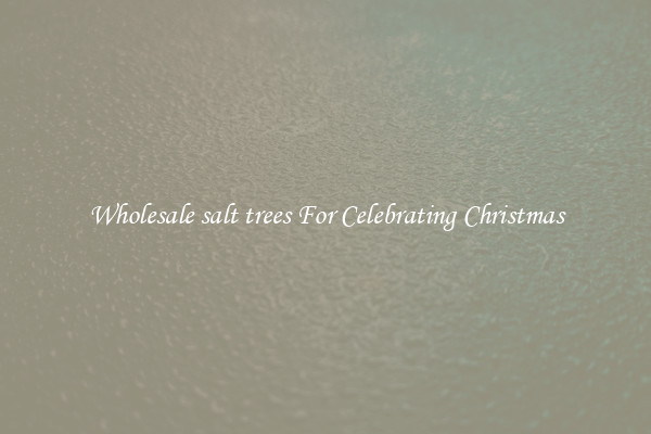 Wholesale salt trees For Celebrating Christmas