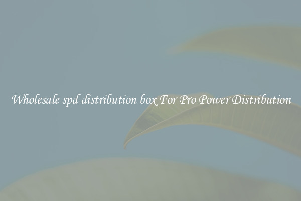Wholesale spd distribution box For Pro Power Distribution