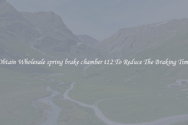 Obtain Wholesale spring brake chamber t12 To Reduce The Braking Time