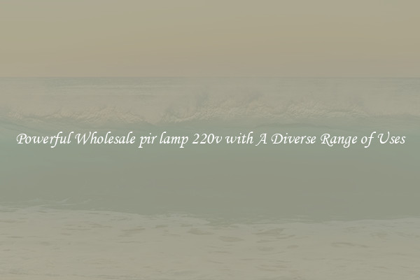 Powerful Wholesale pir lamp 220v with A Diverse Range of Uses