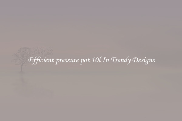 Efficient pressure pot 10l In Trendy Designs