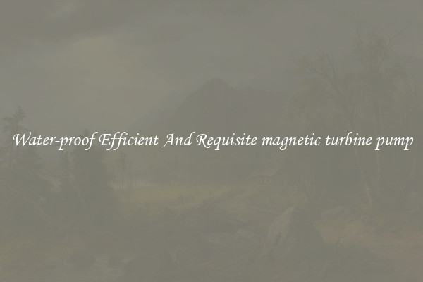 Water-proof Efficient And Requisite magnetic turbine pump