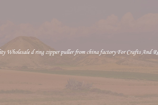Quality Wholesale d ring zipper puller from china factory For Crafts And Repairs