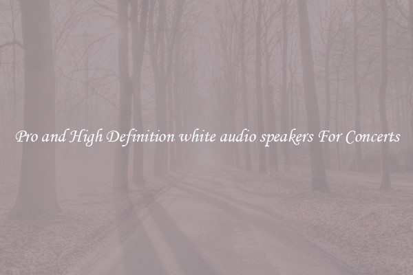 Pro and High Definition white audio speakers For Concerts