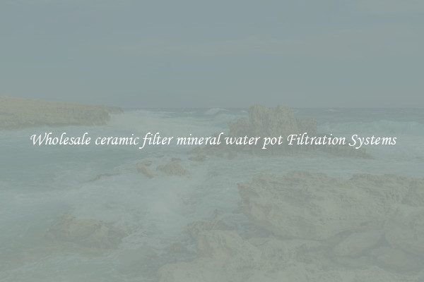 Wholesale ceramic filter mineral water pot Filtration Systems